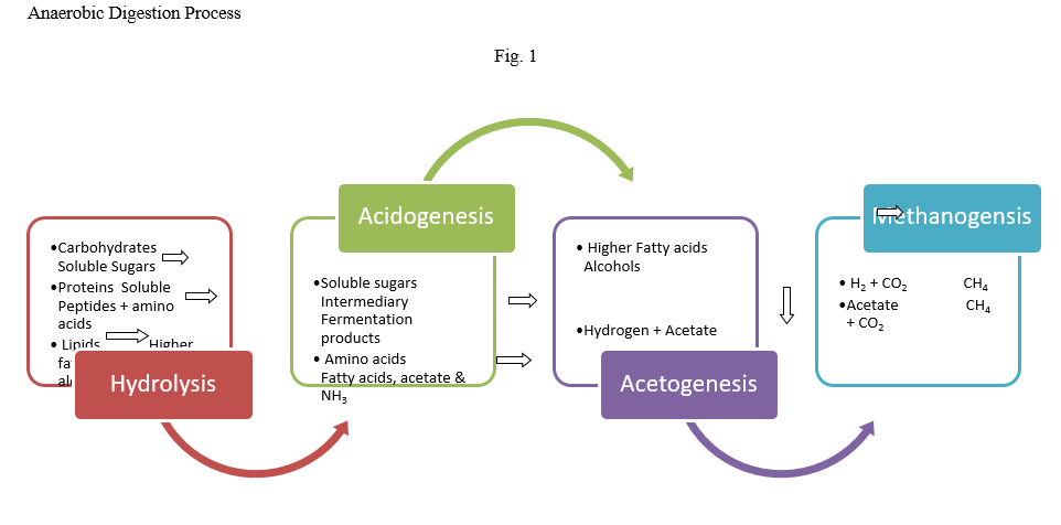 Biogas production through anaerobic co-digestion of rice husk and