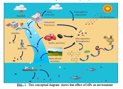 Study of Microplastics in Human Blood